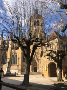 a church with a tower and a tree in front of it at Chez Cathy in Saint-Donat-sur-lʼHerbasse