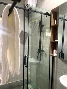 a bathroom with a shower with a towel on a rack at Ehi-Mega Luxury Hotel and Apartment in Abuja