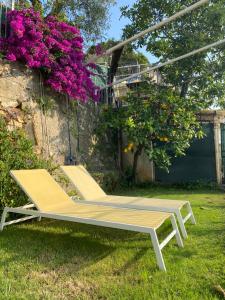 two lounge chairs in a yard with flowers at 88 Miglia in La Spezia +132 photos