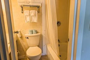 a bathroom with a toilet and a shower and towels at Seasons 103 in Warren +11 photos