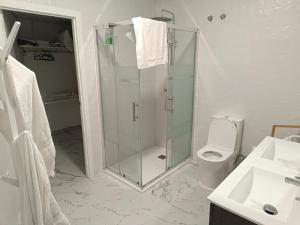 a bathroom with a shower and a toilet and a sink at Sylvia Apartman in La Mata +13 photos