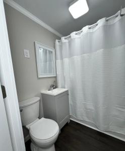 a white bathroom with a toilet and a shower at South Robins Retreat in Warner Robins +8 photos