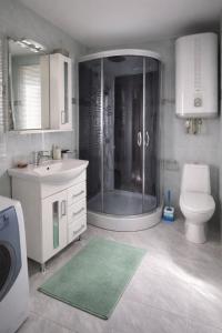 a bathroom with a shower and a toilet and a sink at Pid Skeleyu in Lazeshchyna +28 photos