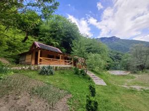 a log cabin in the middle of a field at Wildas Cabins, Tara River Canyon in Foča