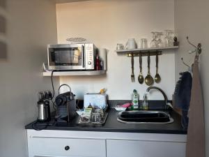 a kitchen counter with a microwave and a sink at Le BALCON DU PRINCE in Montbéliard