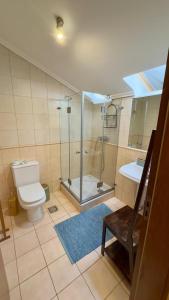 a bathroom with a shower and a toilet and a sink at Casa Sol e Praia in Porto Santo +21 photos