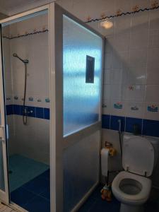 a bathroom with a toilet and a glass shower door at Casa FIGUEIRAS in Bensafrim