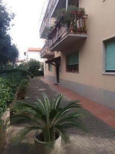a plant in a pot in front of a building at Casa AnnaMarea in San Vincenzo