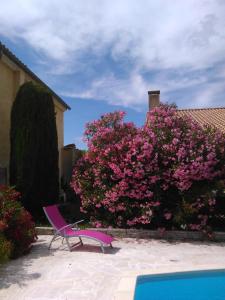 a purple chair sitting next to a bush with pink flowers at La Maison d'hôtes Antaram in Nyons