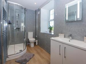 a bathroom with a shower and a sink and a toilet at Gate House in Llangefni +14 photos