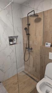 a shower stall in a bathroom with a toilet at Mountain Paradise Apartment in Zgornje Gorje +10 photos