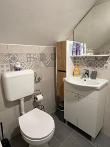 a small bathroom with a toilet and a sink at Prenoćište Šimić in Slavonski Brod +34 photos