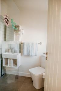 a bathroom with a white toilet and a sink at Gwens House in Brynsiencyn