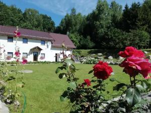 une maison avec des roses rouges dans la cour dans l'établissement Agrowinnica, à Borzytuchom