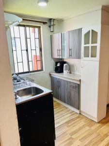 a kitchen with a sink and a white refrigerator at Departamento Independiente Altavista Hostal- 6 personas in Rancagua