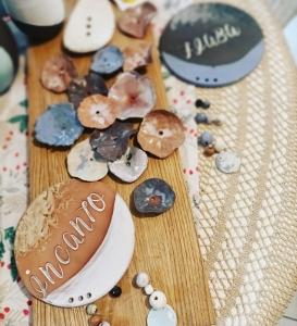 a group of rocks and shells on a wooden table at B&B La Francesina in Lanzo Torinese +73 photos
