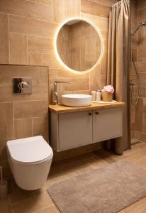 a bathroom with a sink and a toilet and a mirror at OzolApart Lux in Jēkabpils
