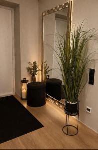 a room with a mirror and a chair and a plant at OzolApart Lux in Jēkabpils