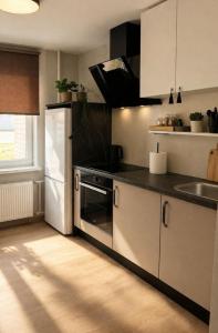 a kitchen with a white refrigerator and a sink at OzolApart Lux in Jēkabpils
