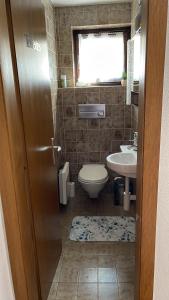 a bathroom with a toilet and a sink at Alps and Lakeview Villa with Pool in Haut-Vully +16 photos