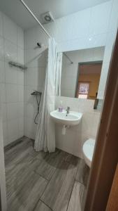 a bathroom with a sink and a toilet and a mirror at Agrowinnica in Borzytuchom
