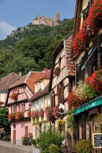 a group of houses with flowers on their windows at Grand Gite Angelique avec Jardin - Centre Ribeauvillé in Ribeauvillé