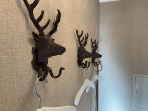 two deer heads hanging on a wall at Luxus Ferienwohnung schöne Aussicht in Hahnenklee-Bockswiese +29 photos