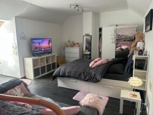a bedroom with a large bed and a television at La Vie est Belle chambre d hôte in Verviers