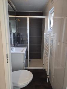 a bathroom with a shower and a toilet and a sink at de Schelphoeve in Ellemeet +48 photos