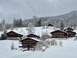 a group of buildings in the snow at ABO - Boutique Apartment - Chalet Grindelwaldgletscher in Grindelwald