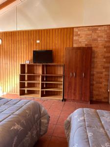 a bedroom with a bed and a television and wooden walls at Cabañas Bosque Sur in Puerto Varas