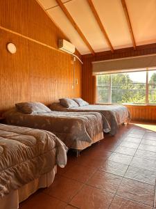 three beds in a room with a large window at Cabañas Bosque Sur in Puerto Varas