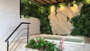 a bath tub with plants on the side of a wall at Hotel Paris Carré in Valledupar