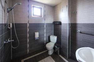 オグニャノヴォにあるSharkov Family Hotelのバスルーム(トイレ、洗面台、シャワー付)