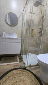 a bathroom with a shower and a toilet and a sink at Malu in Pinhal do Douro +11 photos