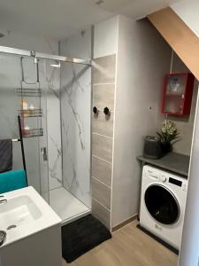 a bathroom with a shower and a washing machine at Le CappyToiT - Gîte climatisé in Cappy +51 photos