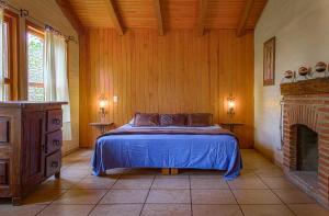 a bedroom with a bed and a fireplace at Cabaña Andrea y Sofía in Mazamitla
