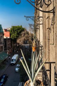 a plant on the side of a building next to a street at Hotel Terracota mx in Mexico City