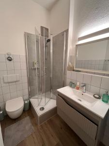 a bathroom with a shower and a toilet and a sink at Gäste-Appartements Morgensonne & Sonnenschein in Dresden +43 photos
