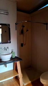 a bathroom with a sink and a shower and a toilet at TinyHome Texcoco in San Miguel Coatlinchán