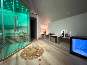 a living room with a large glass shower and a television at L'Envol - Jacuzzi, Sauna et belle vue in Cherbourg en Cotentin