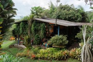 a small house with plants in front of it at Finca Romelia Orchids and Birds in Manizales