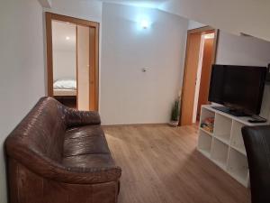 a living room with a leather couch and a television at Sonnenblumen in Hörbranz