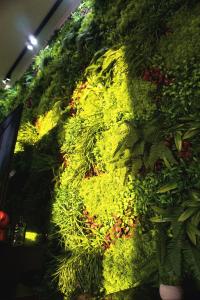 a wall covered in green plants and flowers at Central Residence Sky Apartment in Rădăuţi