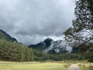 a field with trees and a mountain in the background at La Casita Azul in Orizaba