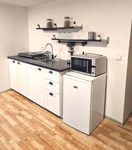 a kitchen with a sink and a microwave at Apartmány Lahofer ZNOJMO in Znojmo