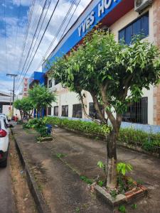 a tree in a parking lot in front of a building at Yves Hotel in Porto Velho
