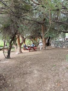 two people sitting at a picnic table under trees at Cabaña Lazarillo in Amaicha del Valle