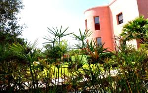Vườn quanh Riad Hamdani