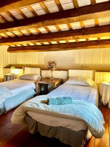 a bedroom with two beds in a room at Can Petitu in Amer +35 photos